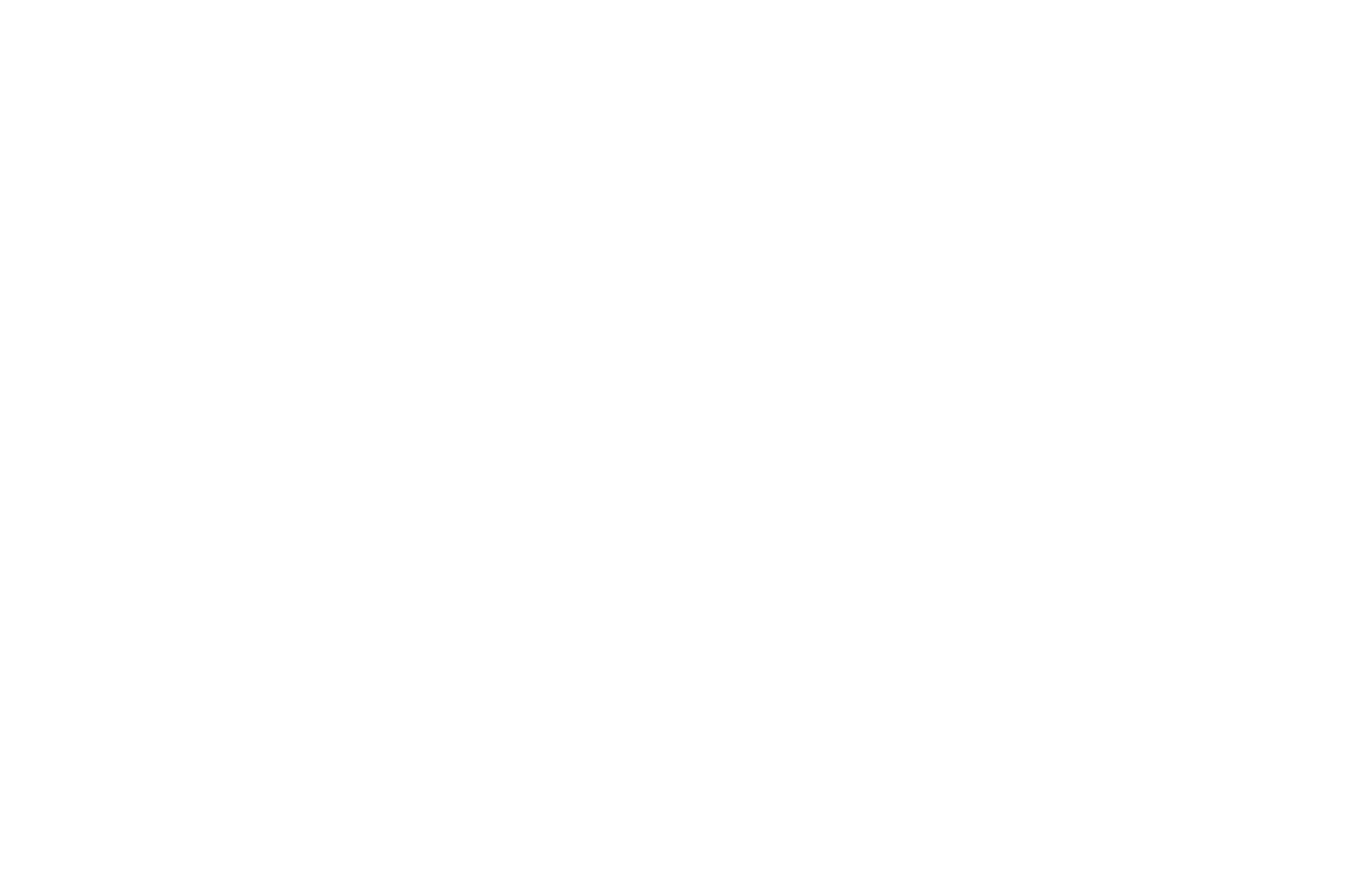 dsb_logo